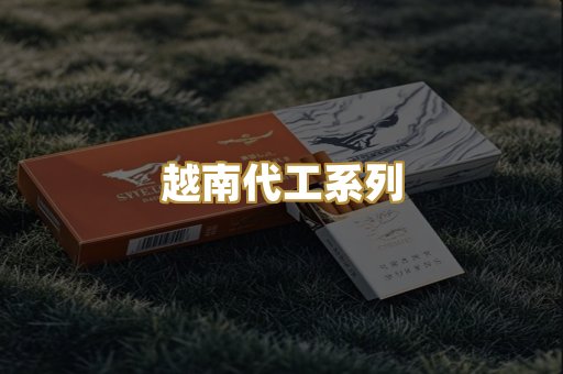 越南代工系列